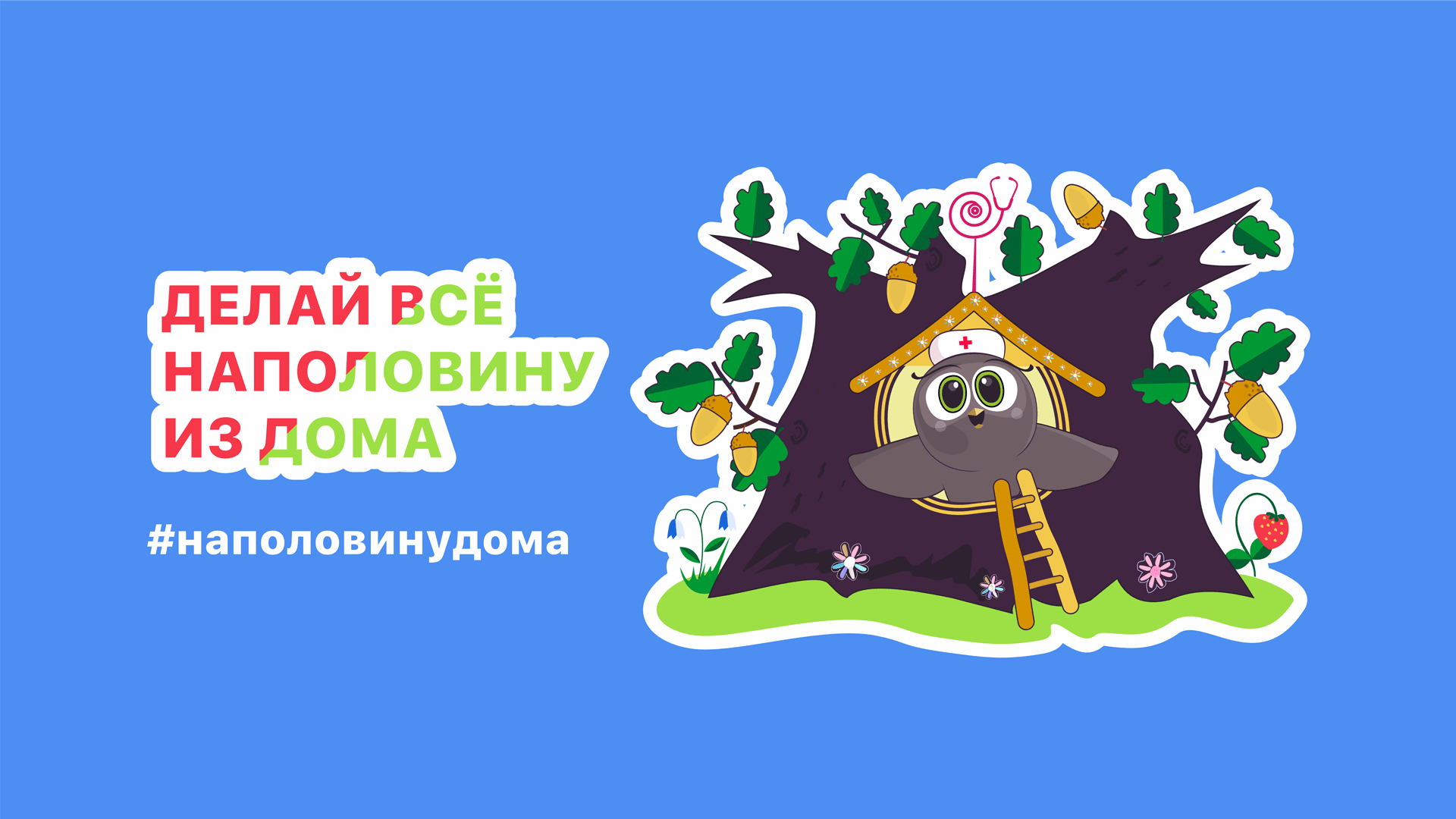 Проведение удаленных медицинских консультаций.