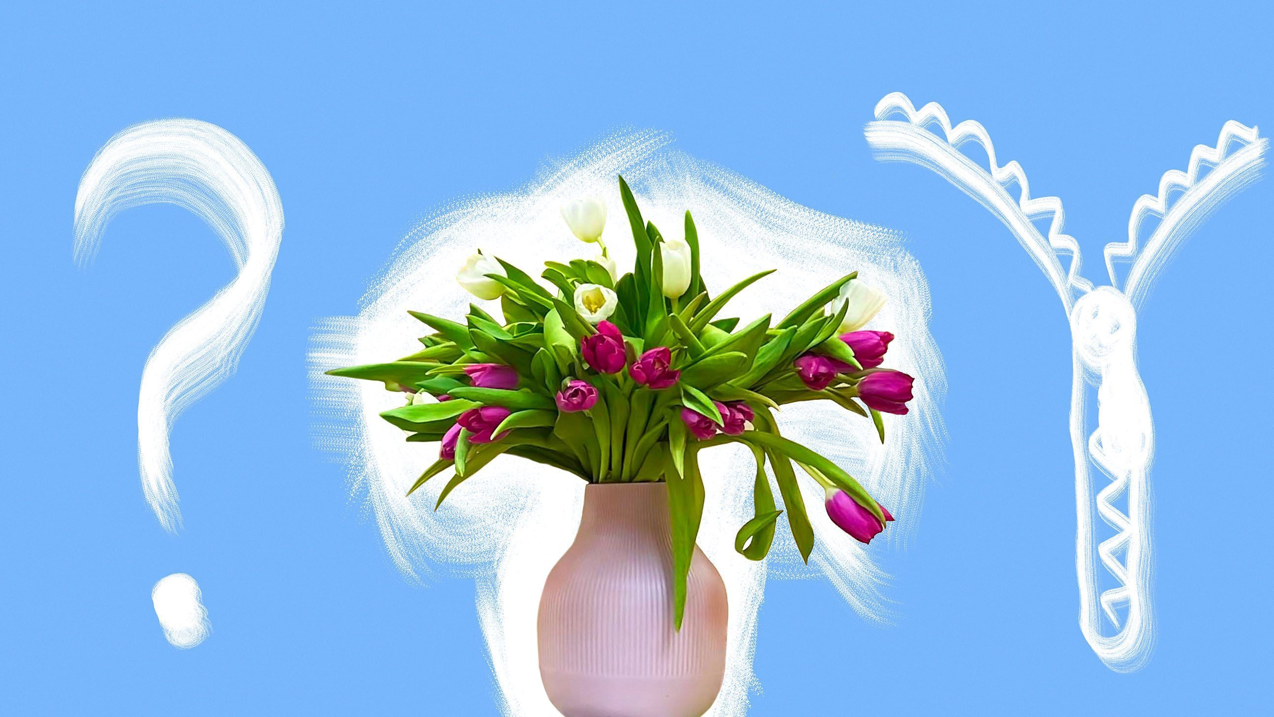 Синехии половых губ у девочек